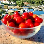 Apartmán In Zaboric With Sea View, Balcony, Air Conditioning, Wifi 5177-1