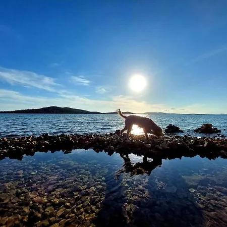 In Zaboric With Sea View, Balcony, Air Conditioning, Wifi 5177-1 아파트 *